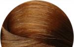 エンドウ豆の髪の色 - フォレストエンドウ、ダーク、ライト、ゴールド