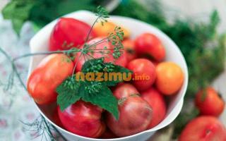 塩漬けトマトとバレルトマト - 自宅で冬に向けて準備するための簡単な写真のレシピ